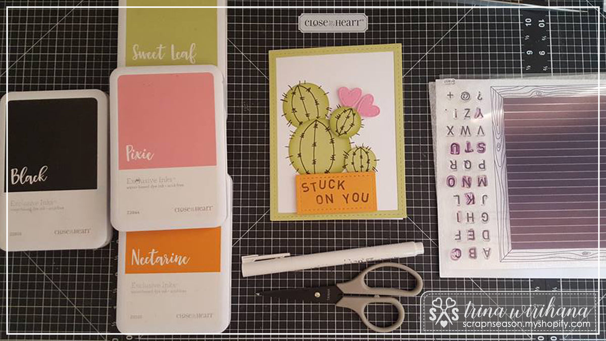 Cactus Card – Scrap'n'Season