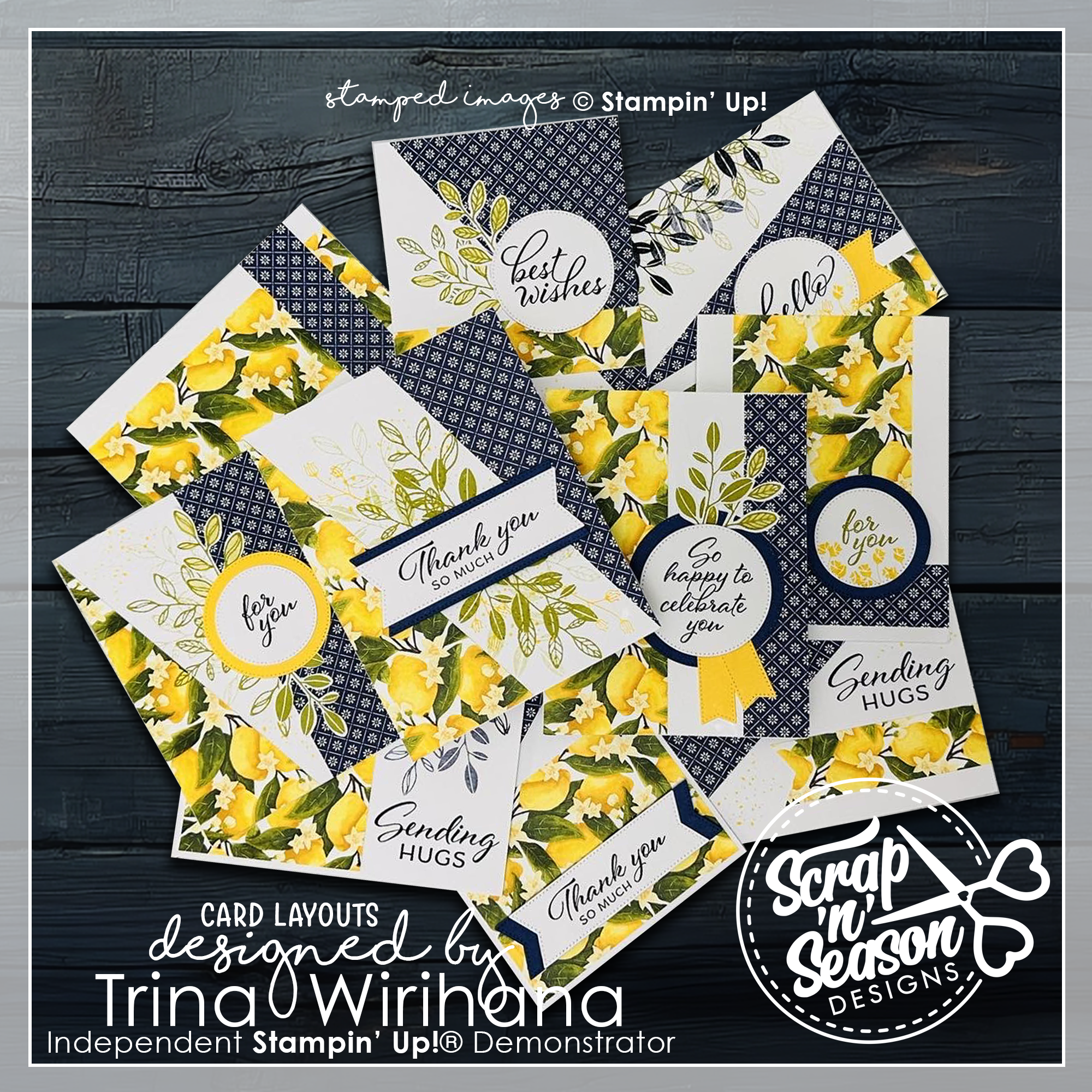 DL Mediterranean 10 Card Workshop