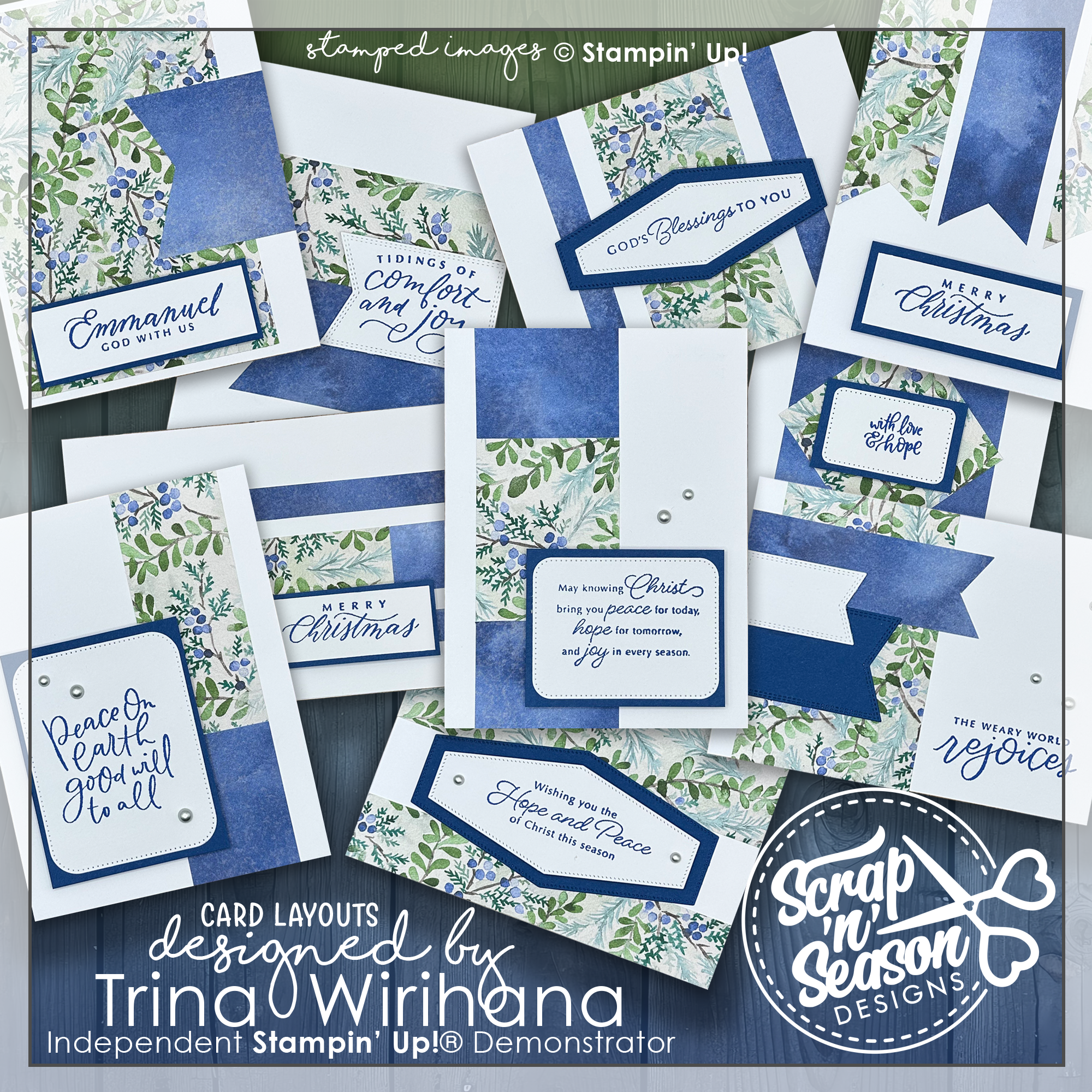 DL Blueberry Bliss 10 Card Workshop