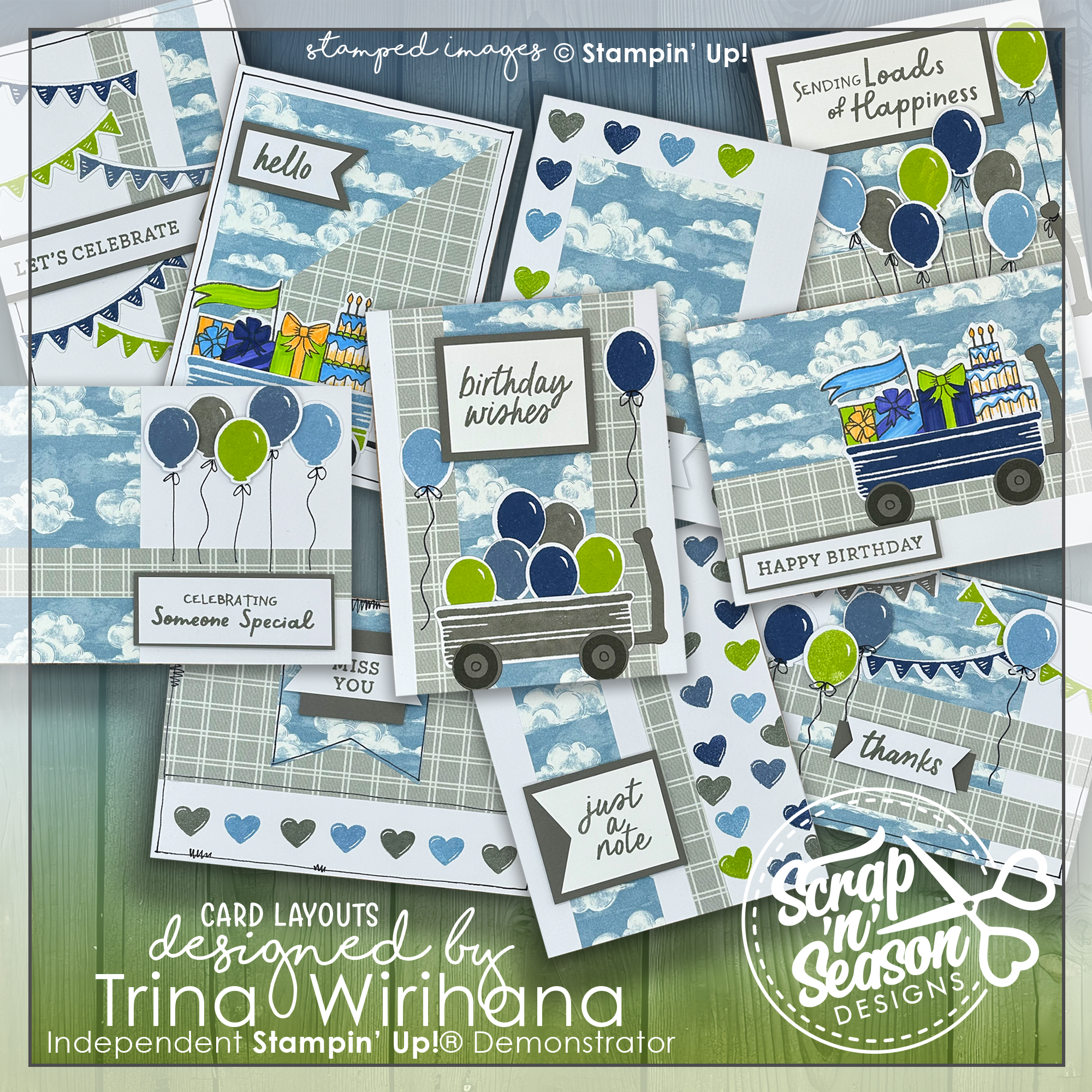 DL Cloudy Boy 10 Card Workshop