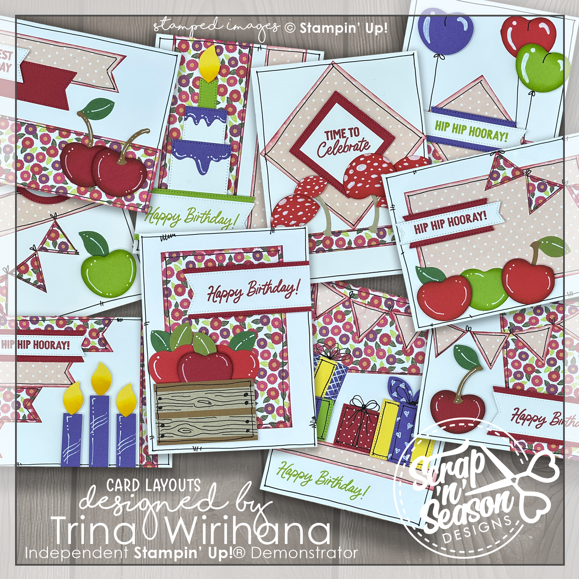 DL Mini Zinnias 10 Card Workshop