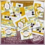 Market Meadows - One Sheet Wonder