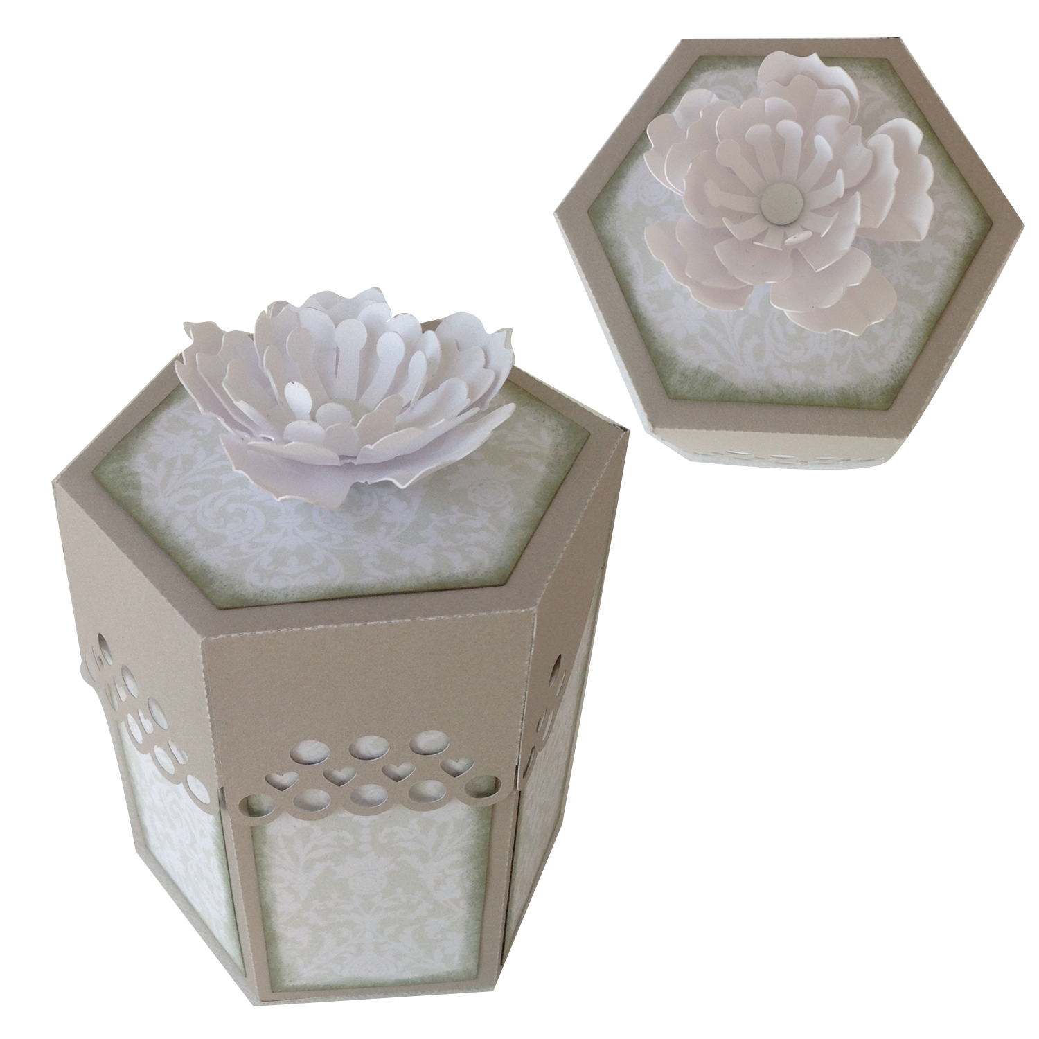 3D Box - Hexagon Lace