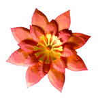 3D FLOWER D